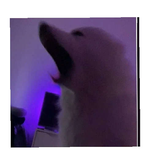 Эмодзи Ржачные животные