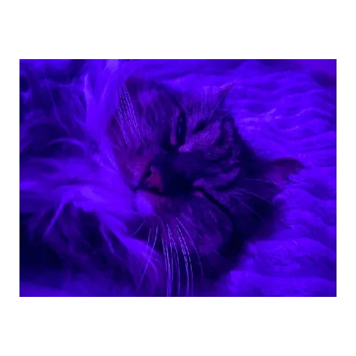 Эмодзи Ржачные животные