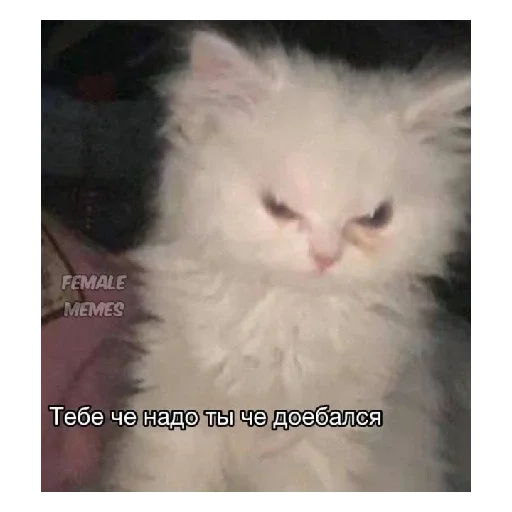 Эмодзи Ржачные животные