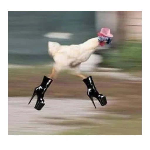 Эмодзи Ржачные животные