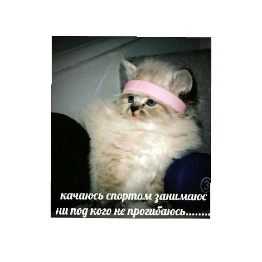 Эмодзи Ржачные животные