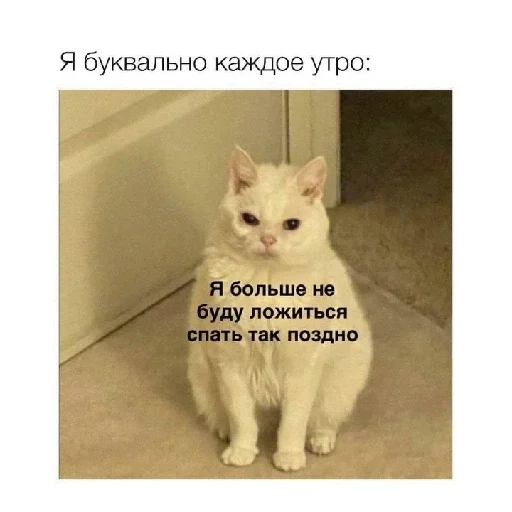 Эмодзи Ржачные животные