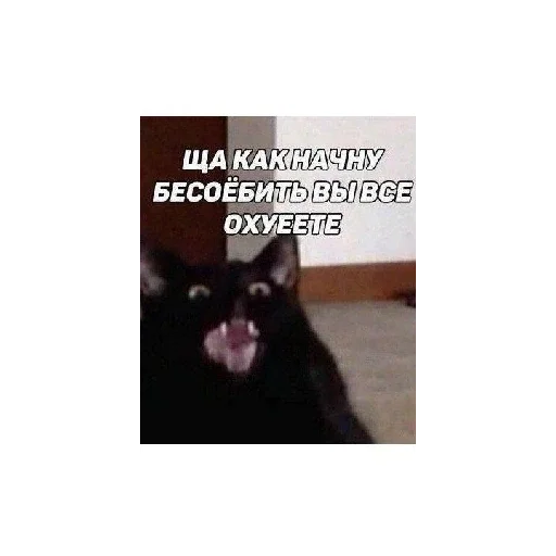 Эмодзи Ржачные животные