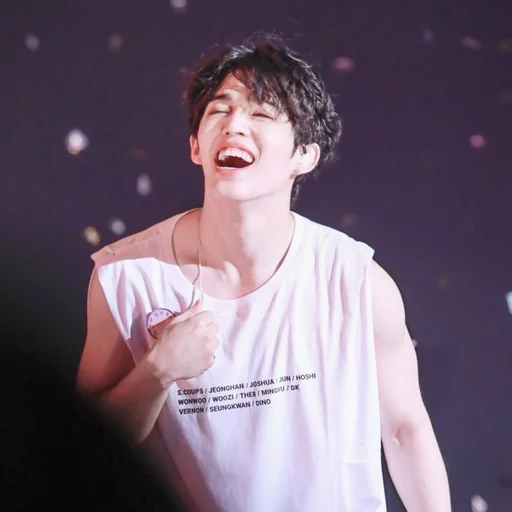 Эмодзи s coups seventeen