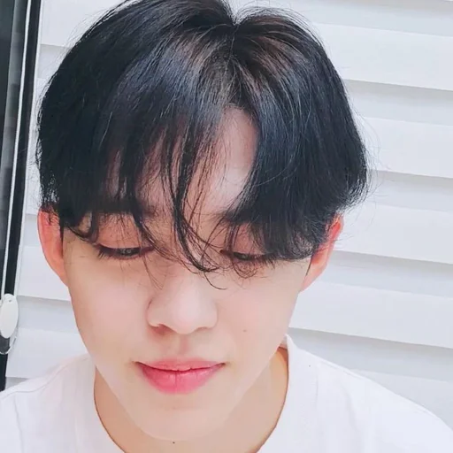 Эмодзи s coups seventeen