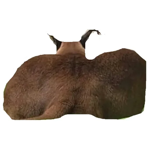 Эмодзи Шлепа 3