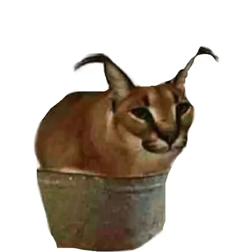 Эмодзи Шлепа 3