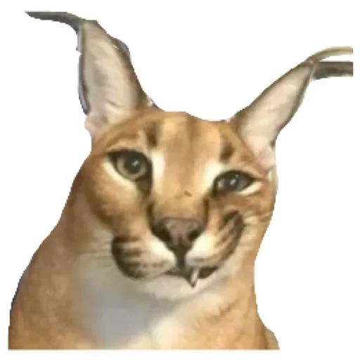 Эмодзи Шлепа 3