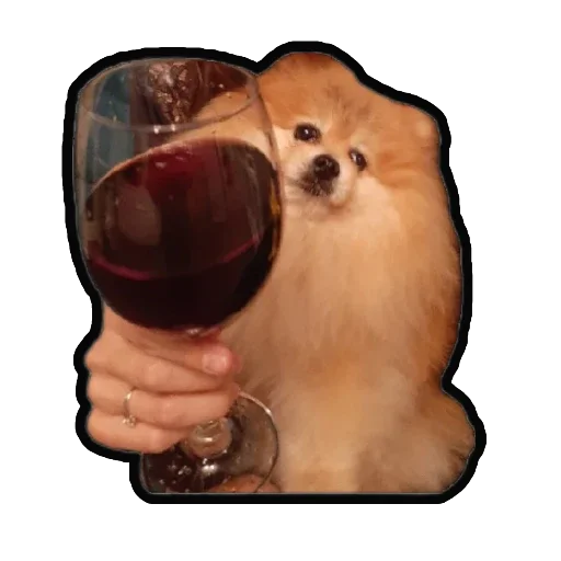 Эмодзи Шпиц Енот