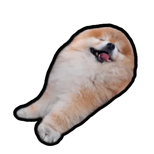 Эмодзи Шпиц Енот