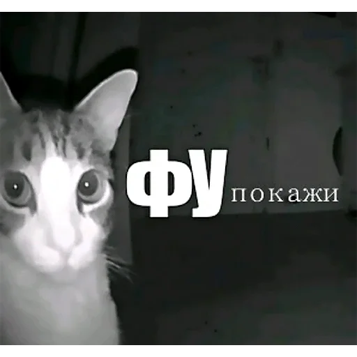 Эмодзи Birds Memes