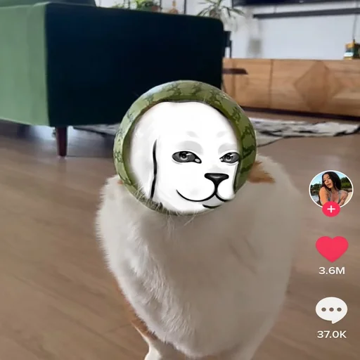 Эмодзи SABAKATRANSLATE