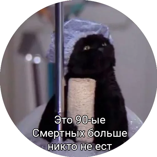 Эмодзи Кот Салем