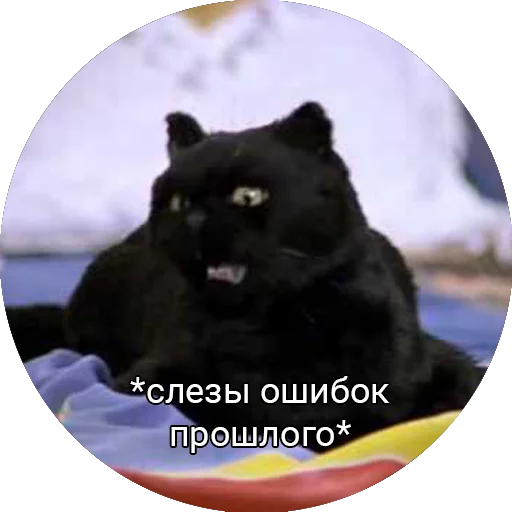 Эмодзи Кот Салем