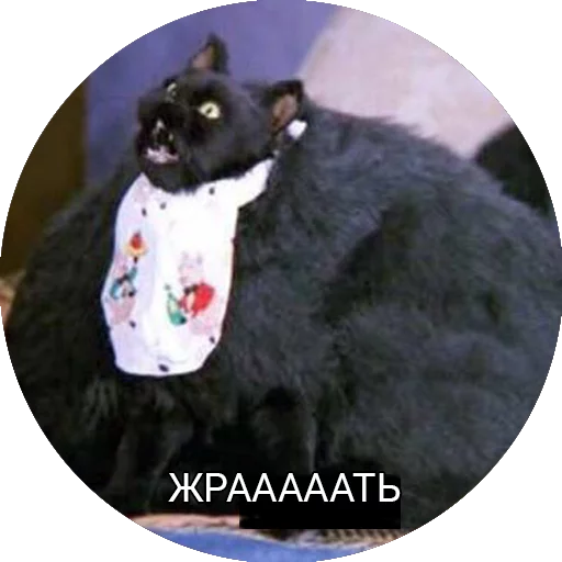 Эмодзи Кот Салем