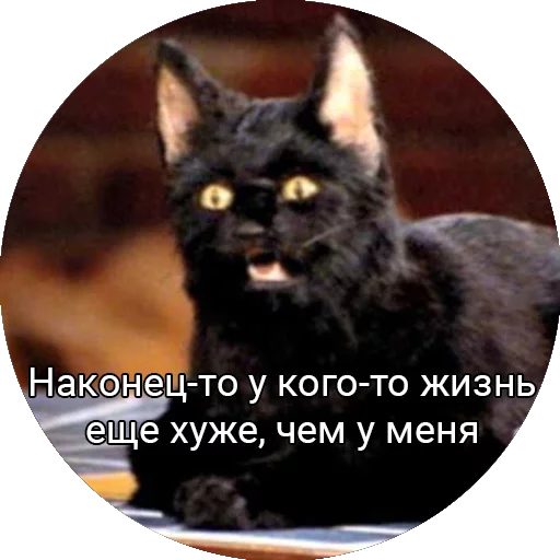 Эмодзи Кот Салем