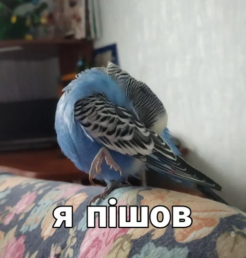 Эмодзи Кеша