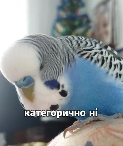 Эмодзи Кеша