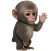 👋