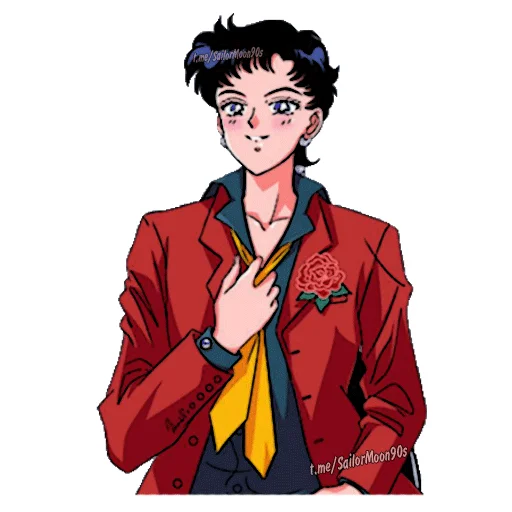 Эмодзи ✨Sailor Starlight✨