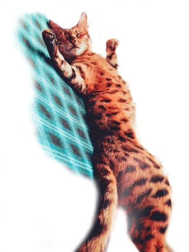 Эмодзи Леона