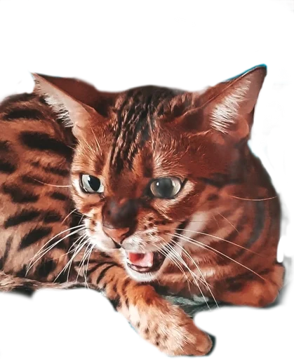 Эмодзи Леона