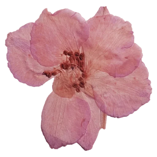 Эмодзи Scrapbooking