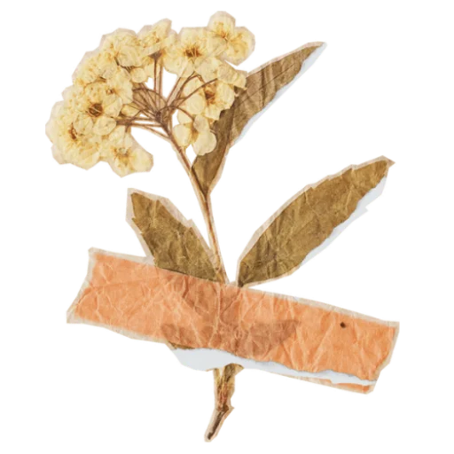 Эмодзи Scrapbooking