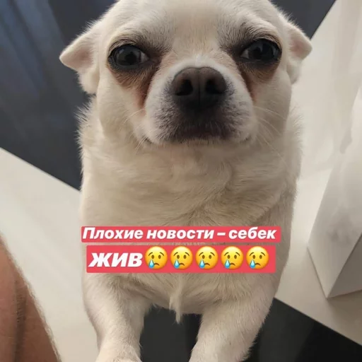 Эмодзи Себек