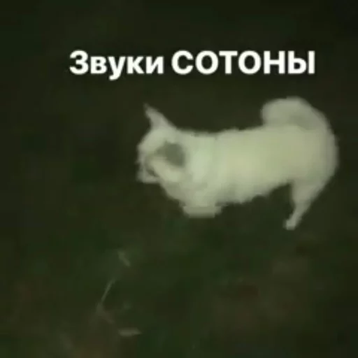 Эмодзи Себек