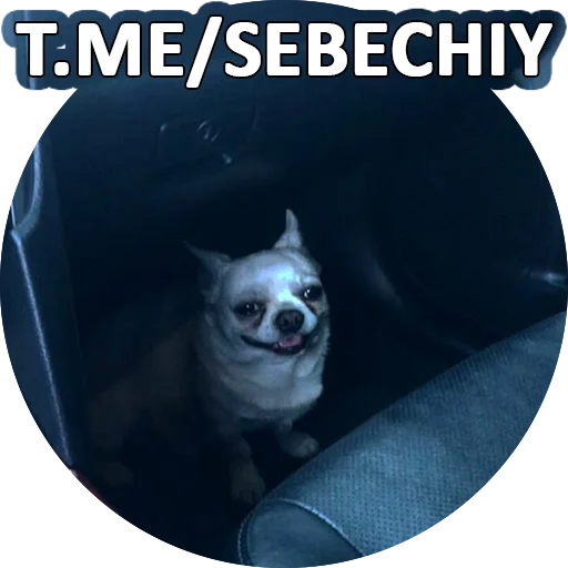 Эмодзи SebekBandit