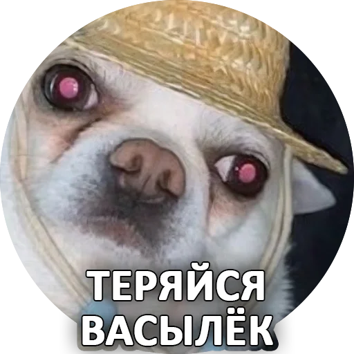 Эмодзи SebekBandit
