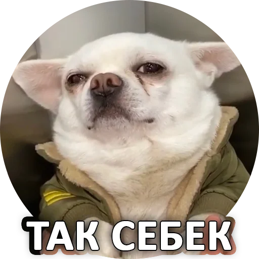Эмодзи SebekBandit