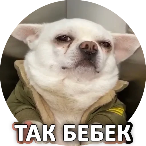 Эмодзи SebekBandit