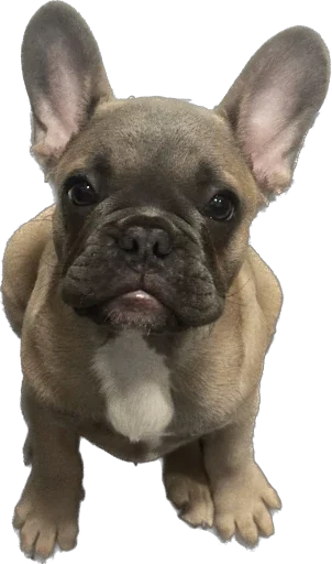 Эмодзи Marsel’