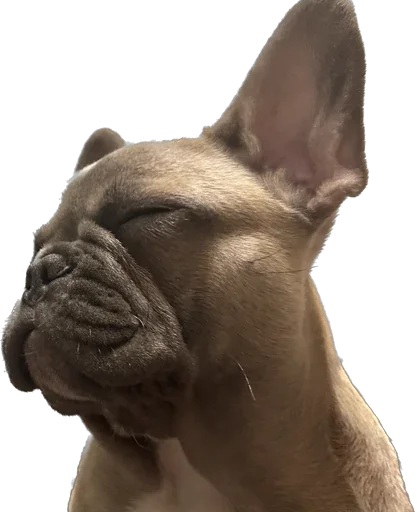 Эмодзи Marsel’