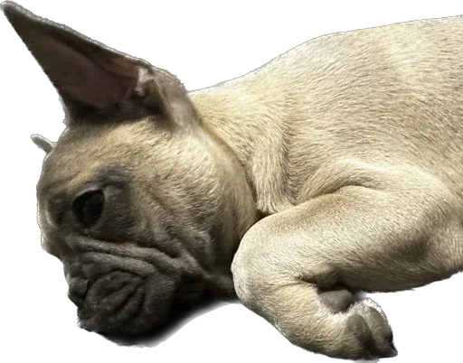 Эмодзи Marsel’