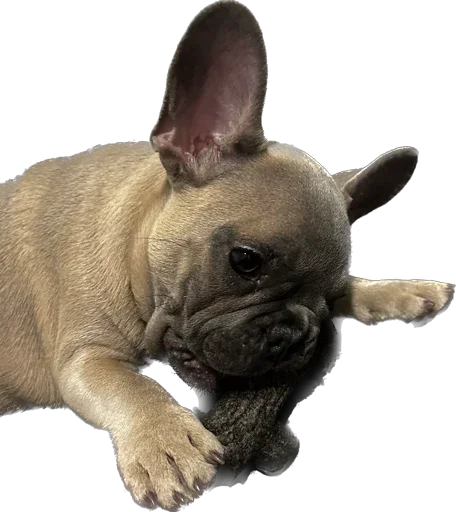 Эмодзи Marsel’