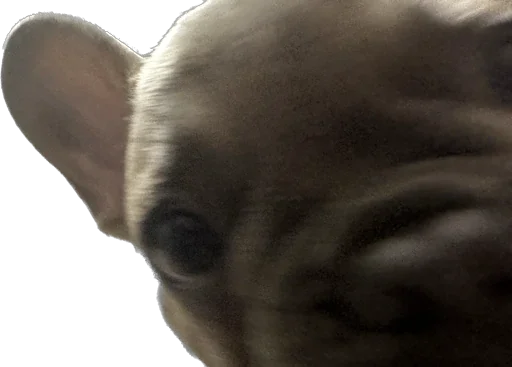 Эмодзи Marsel’