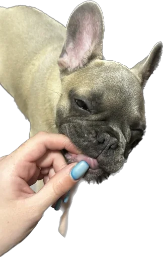 Эмодзи Marsel’