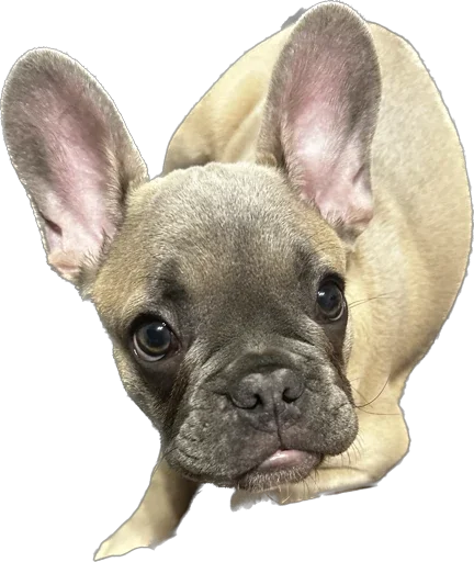 Эмодзи Marsel’