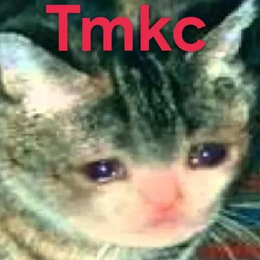 Эмодзи Send Proof