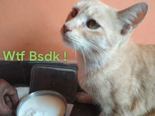 Эмодзи Send Proof