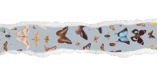 Эмодзи Separadores_Aesthetic