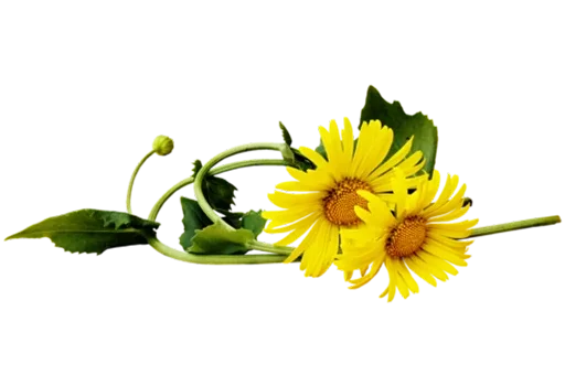 Эмодзи Separator Flower Thick