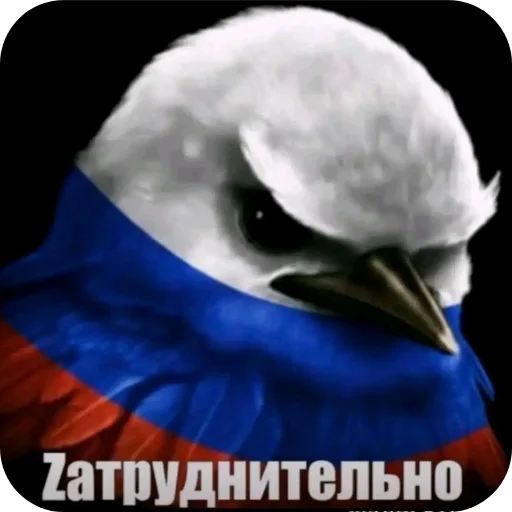 Эмодзи Birds Memes