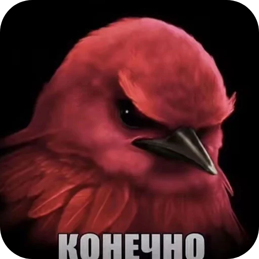 Эмодзи Birds Memes