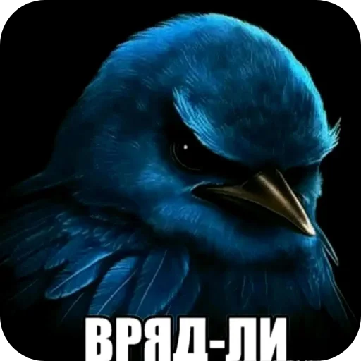 Эмодзи Birds Memes