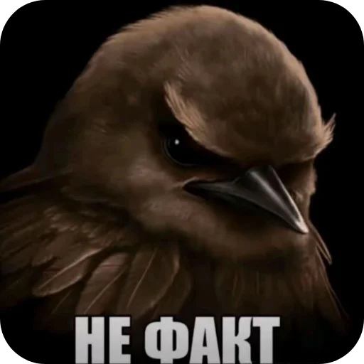 Эмодзи Birds Memes