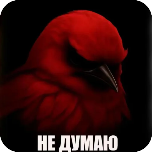 Эмодзи Birds Memes